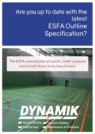 DYNAMIK - ESFA Guidelines