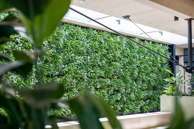 New Brabantia headquarters has a sustainable eye-catcher with living green walls