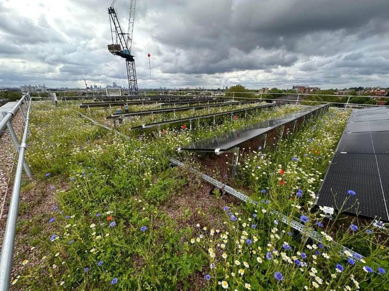 Extensive Green Roof Systems