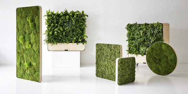 InnoGreenin laajentunut Koivu-tuoteperhe