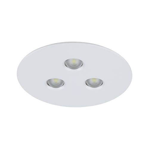 Series 3000 Recessed (High Output) CG-S - Central Battery Safety Luminaire