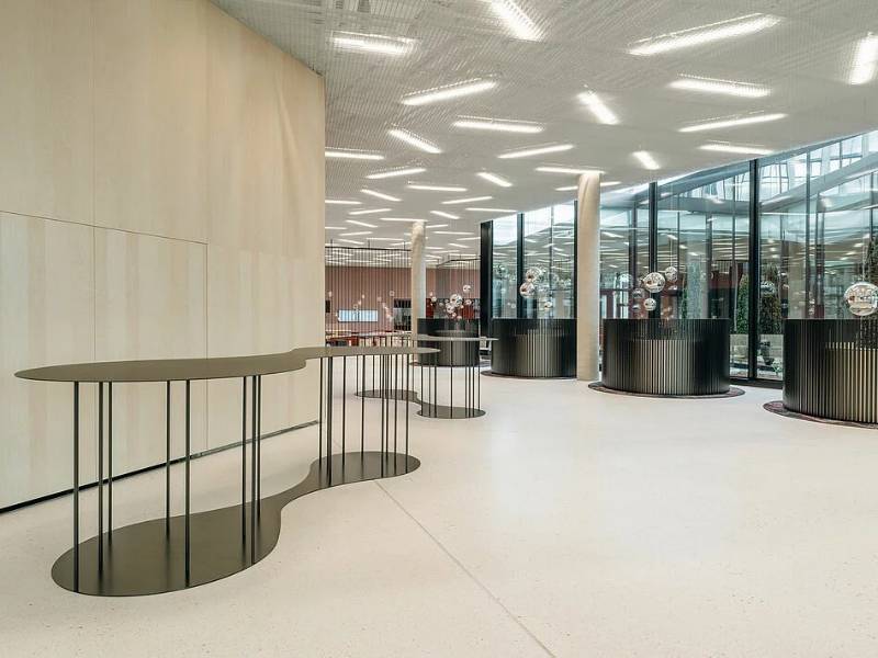 Durlum Ticell and Star Ceilings at medi GmbH