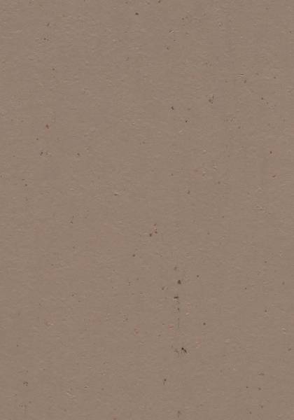 Marmoleum Solid Cocoa - Linoleum sheet flooring