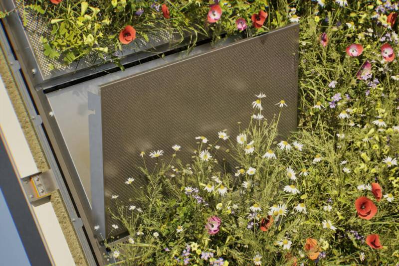 Optima Meadow - Living Wall Rainscreen System