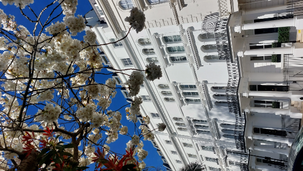 13-19 Leinster Square, London