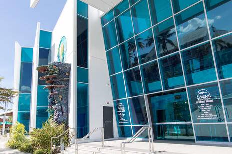 Cairns Aquarium & Marine Research Centre, Cairns QLD
