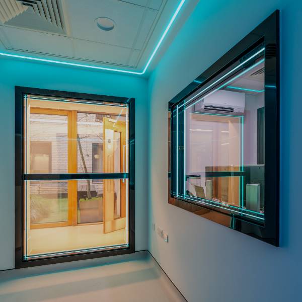 Raybloc® Sense-X Window