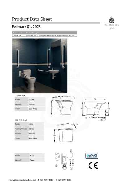 i.Care DOCM C/C Push Button (White Rail & Seat) with Rimless WC Pan