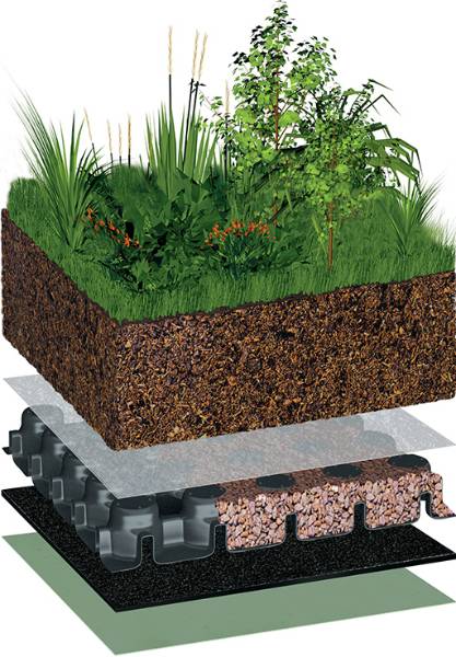 Bauder Intensive Green Roof System, Soft Landscaping