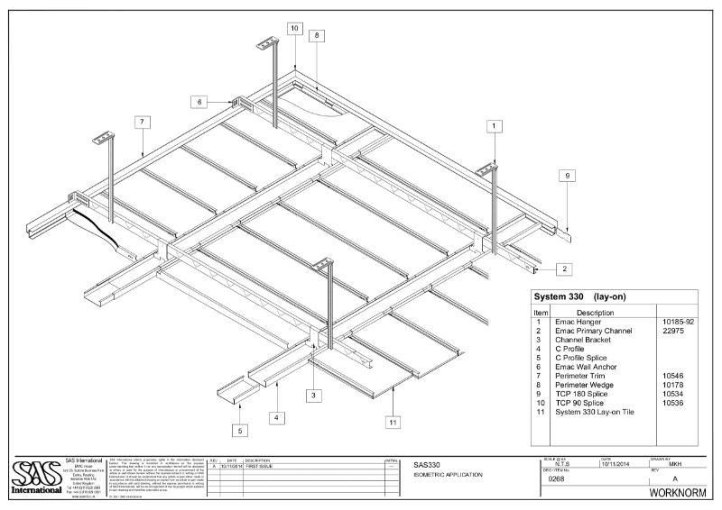 SAS330 - Isometric Application