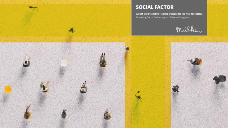 Social Factor