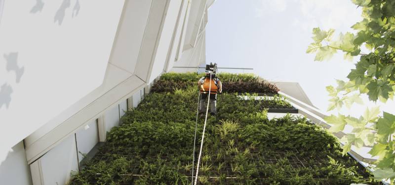 SafeAccess for Greenwalls