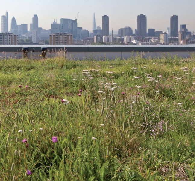 MedO Living Green Roof System - Extensive/Intensive/Brown Roof Build-up