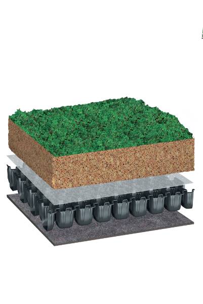 BauderEXTENSIVE SEDUMsubstrate Green Roof System, Flat Roof