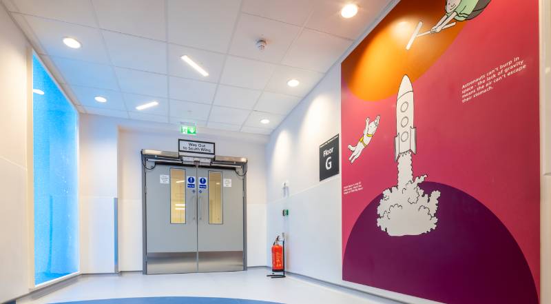 Wall Protection - Evelina Children's Hospital