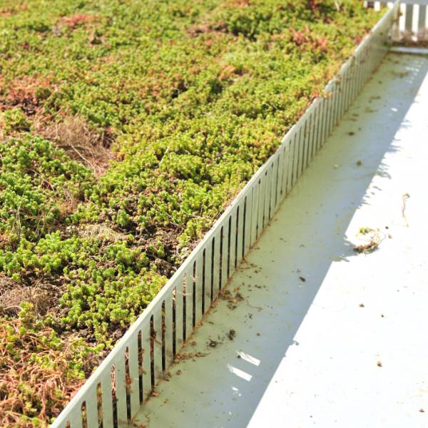 EdgeGuard™ living roof edging trim - Aluminium Edge Retaining Profiles