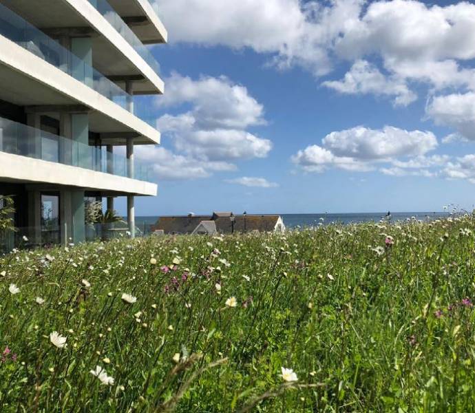 Green Roof - The Liner Apartments Falmouth