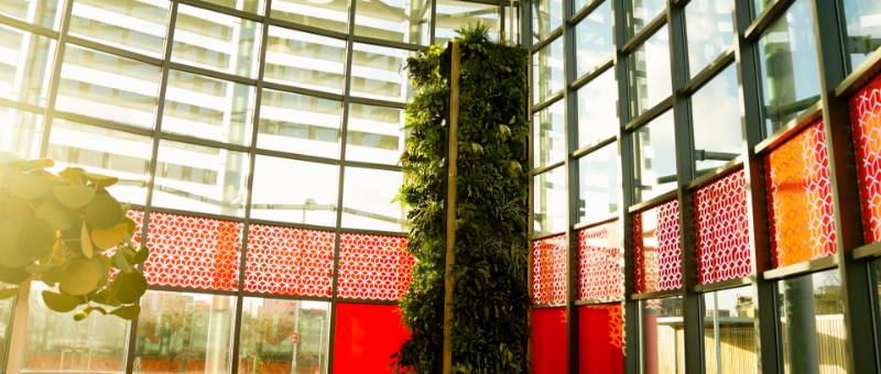 Biophilic design at DPD’s London headquarters