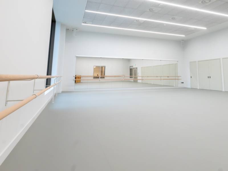 Dance and Performance Vinyl - Harlequin Cascade - Dance and Performance Vinyl