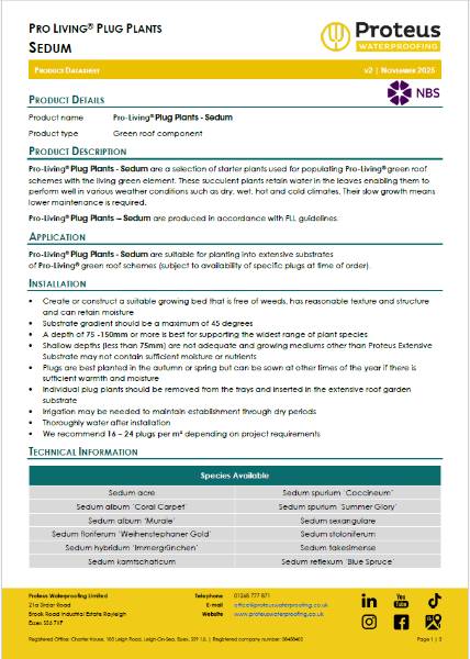 Product Data Sheet - Pro-Living® Plug Plants - Sedum