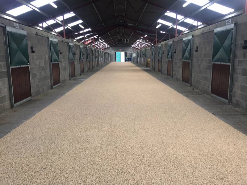 Tattersalls Race Course (Ireland) - Resin Flooring