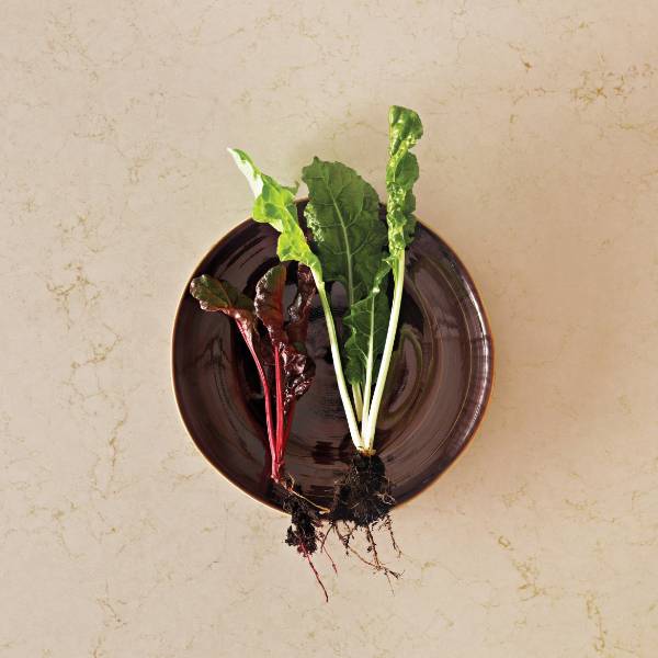 5220&nbsp;Dreamy Marfil - Engineered Quartz Surface