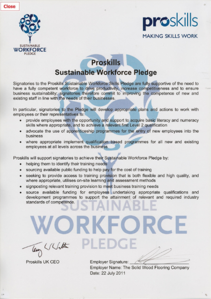 Proskills Sustainability Certificate