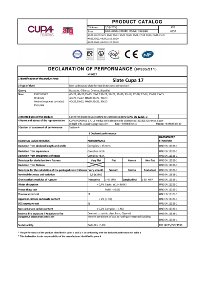 DoP Slate Cupa 17