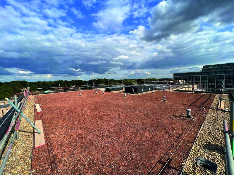 Hot Melt Roof Waterproofing: The Zero Falls Roof Solution