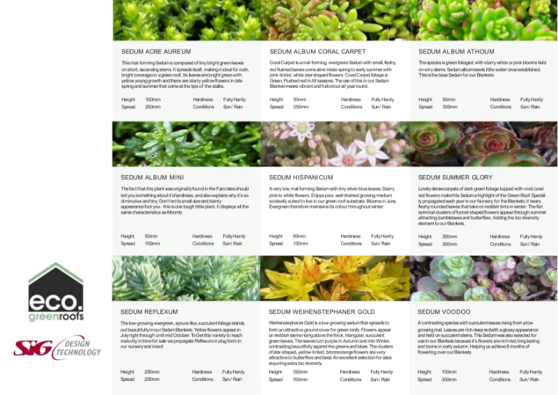 Eco Green Roofs Sedum Varieties Datasheet