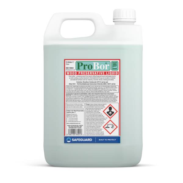 ProBor 10.1 - High Strength Dual Purpose Wood Preservative Paste, for Woodworm, Dry and Wet Rot Treatment, Low Odour Formulation