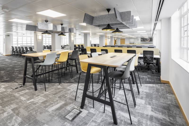 BPP - Unexpected Purpose (Carpet), Polished Concrete and Heritage Wood (LVT)