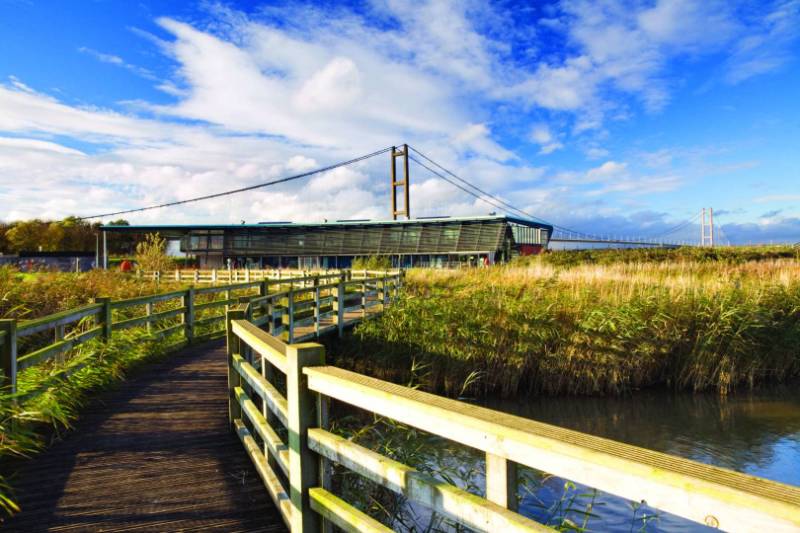 Nature Reserve - Boardwalk