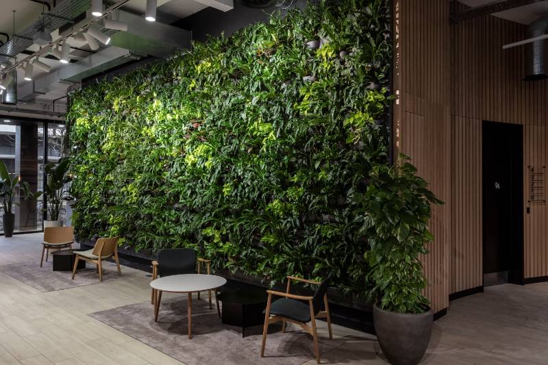 A green wall as a sustainable solution for an environmentally friendly renovation