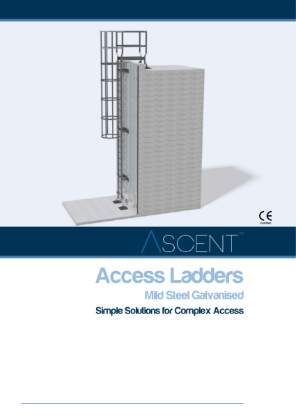 Ascent Access Ladders - Mild Steel