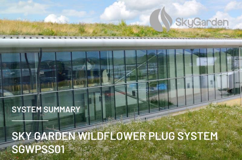 Sky Garden Wildflower Plug System - Wildflower Plug Plants
