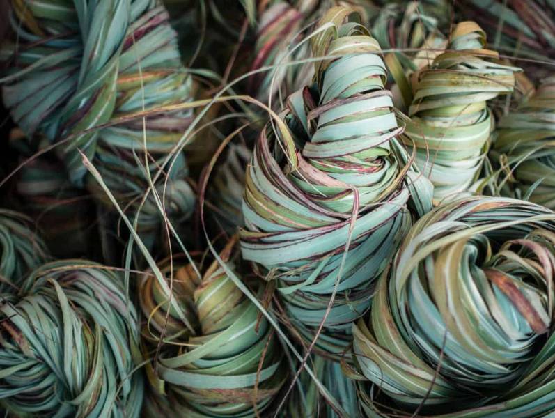 Bio-Based Synthetics and Their Place in Our Future