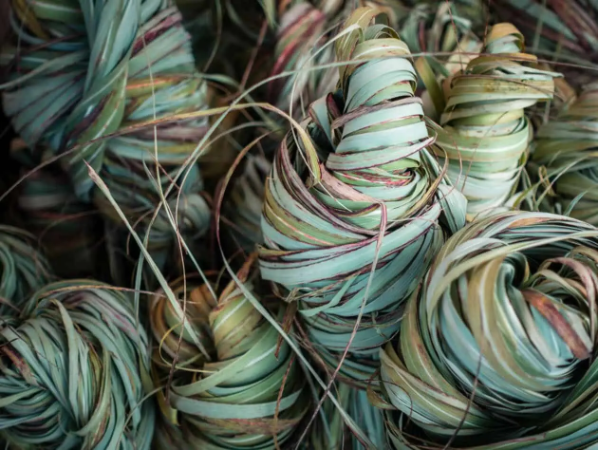 Bio-Based Synthetics and Their Place in Our Future