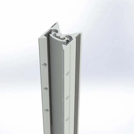 Double Swing Continuous Hinge