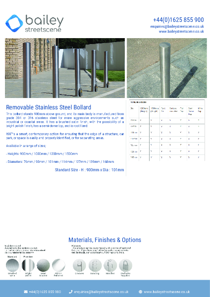 Removable Stainless Steel Bollard