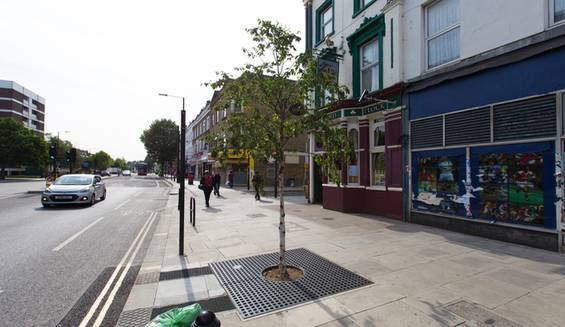 Goldhawk Road SUDS Tree Pit