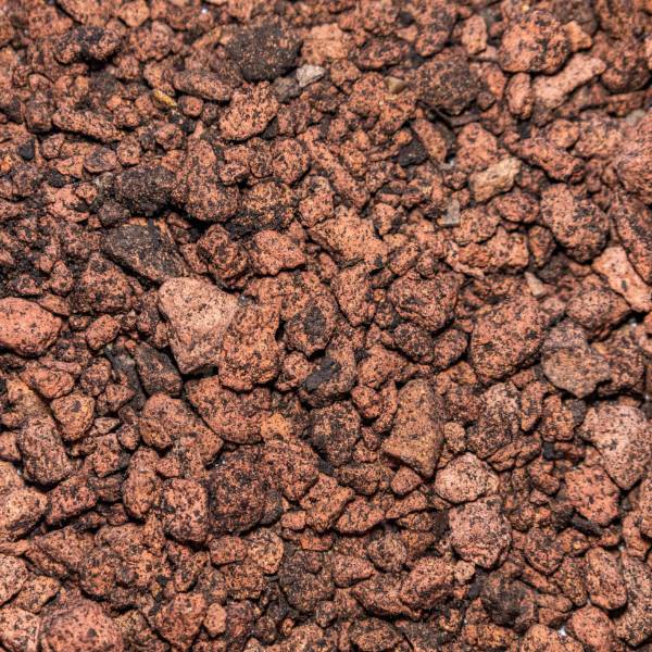 Extensive Biodiverse Substrate