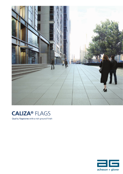 Caliza Booklet