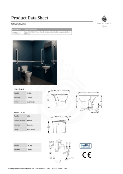 i.Care DOCM C/C Lever Handle (Stainless Steel Rail & Seat) with Rimless WC Pan