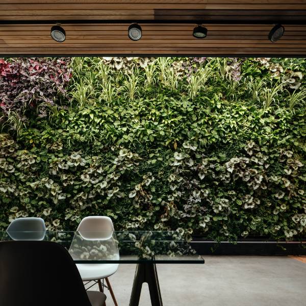 The House of Elements; Internal Living Wall