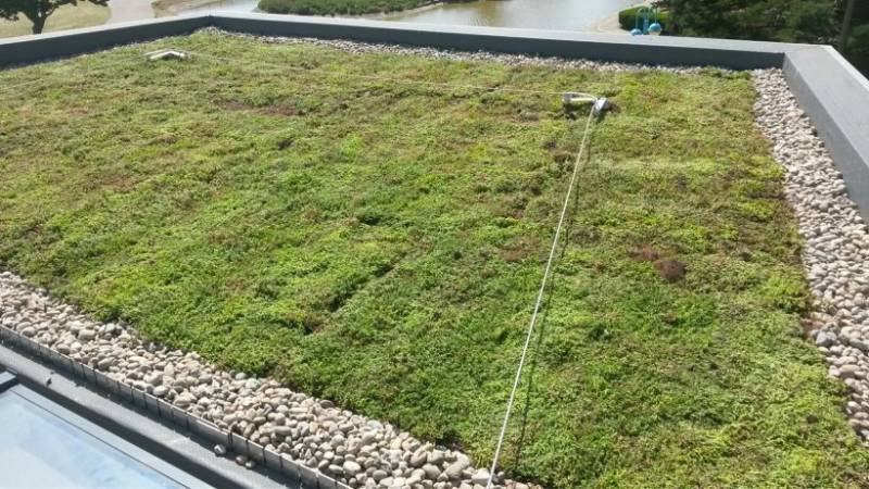 ShieldGREEN Living Roofing System