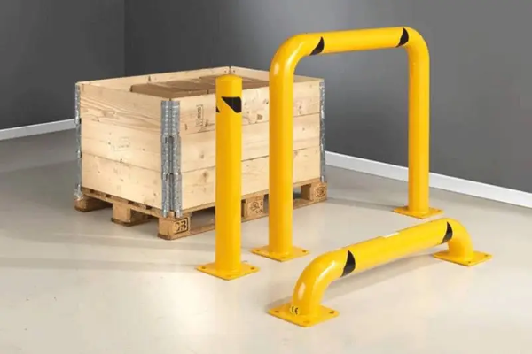 Växter och djur