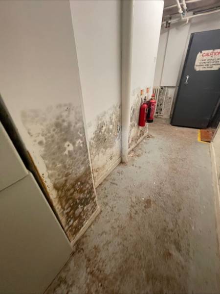 Damp and Condensation in Buildings