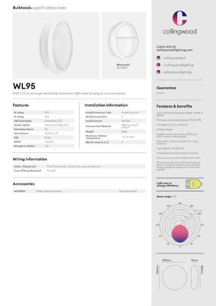 WL9527CCS Datasheet