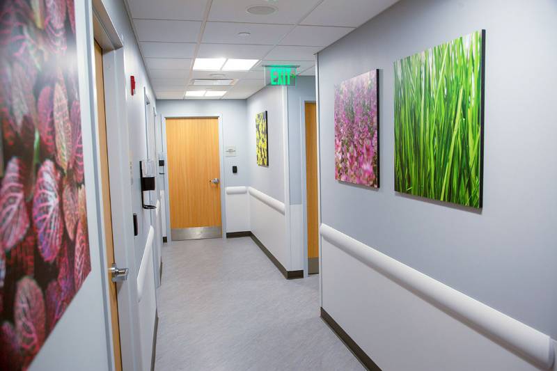 Altro Whiterock wall solutions - Holy Name Medical Centre ICU, USA